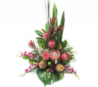 native glory - modern arrangement of natives and tropical flowers in a water contained box.what a delightful long lasting gift.