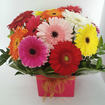 Happy Gerberas - Happy Gerberas is a cheerful hand-tied bouquet, brimming with vibrant gerbera daisies. Each petal embodies happiness, making it a perfect gift to brighten someone's day and bring a