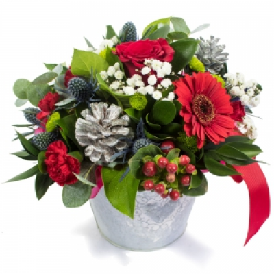 Tis The Season - A wonderful christmas gift to send to family, friends, loved ones or colleagues this Christmas. Creatively crafted and delivered by a professional local florist - the arrangement will feature a florist choice selection of flowers including Hypericum, Carnations, Gypsophila, Red Germini, a Rose and more. 
